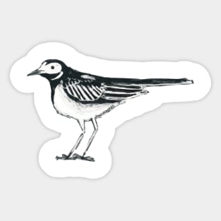 Pied Wagtail of Wagtown Sticker